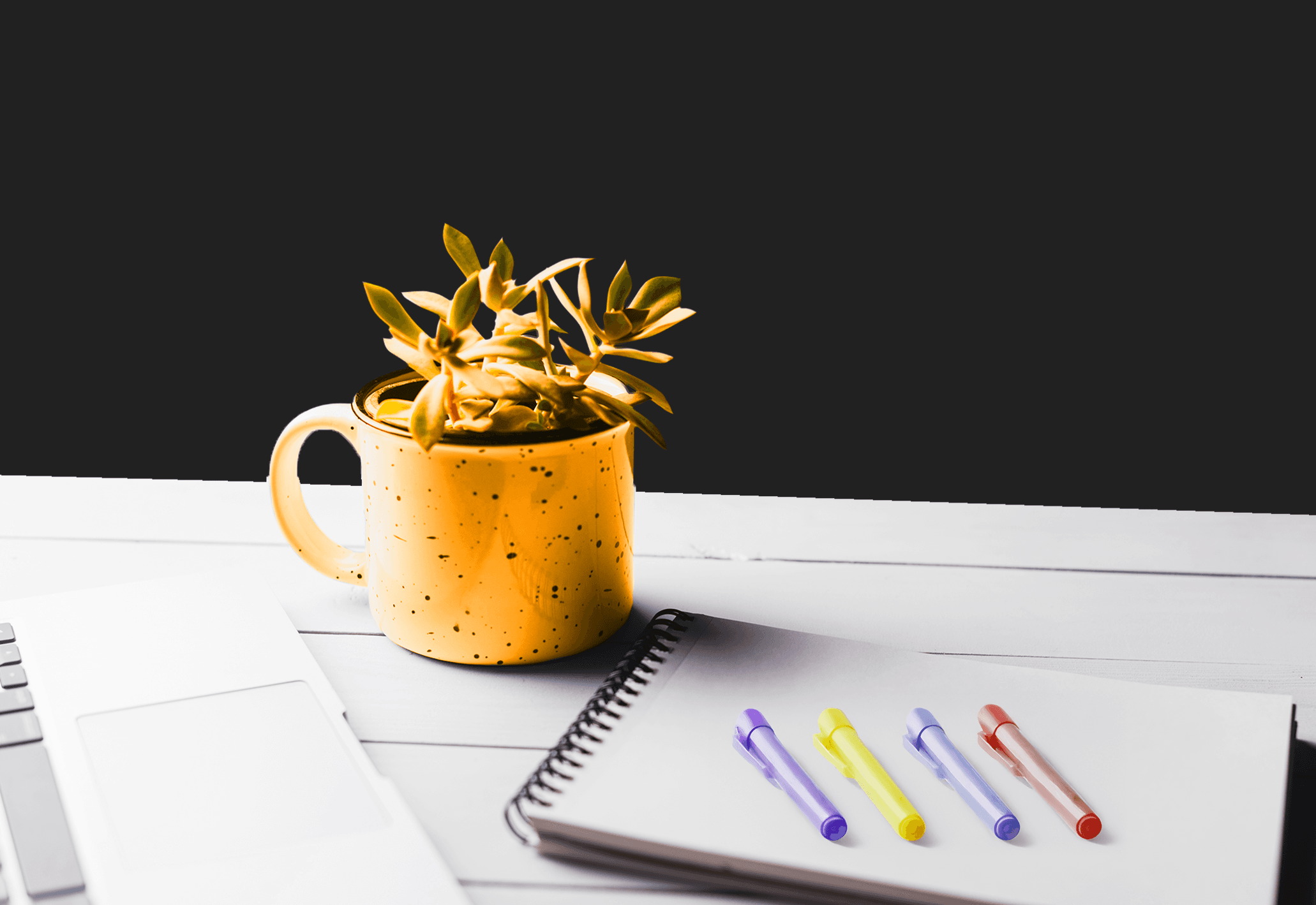Content Writing