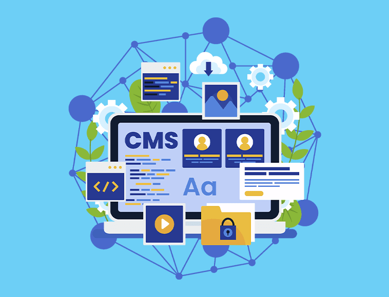 CMS development